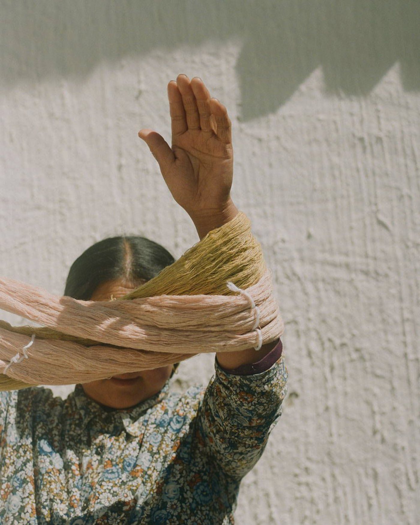 Hands holding raw wool